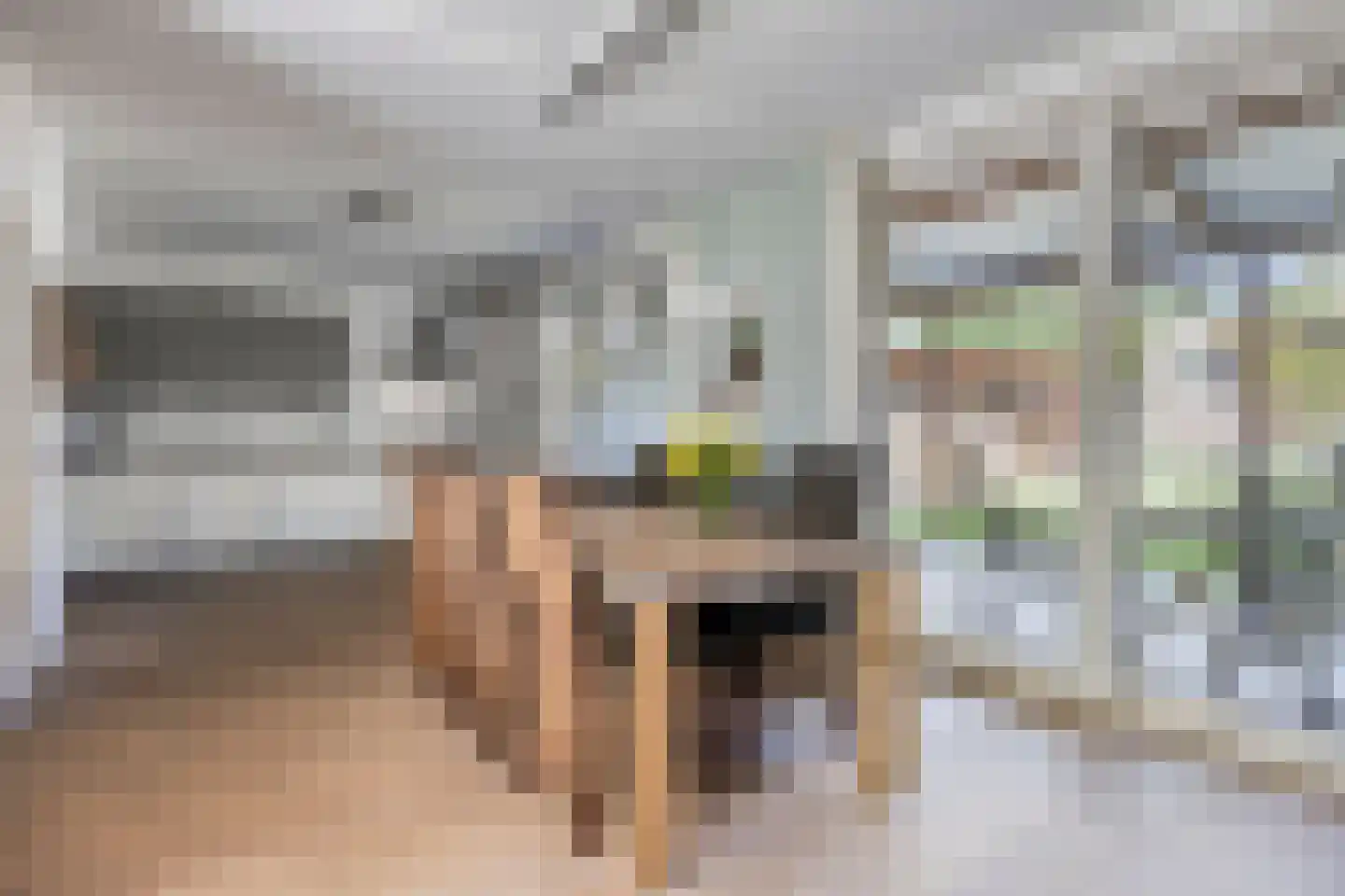 Maaszicht 22 Beegden thumbnail 11