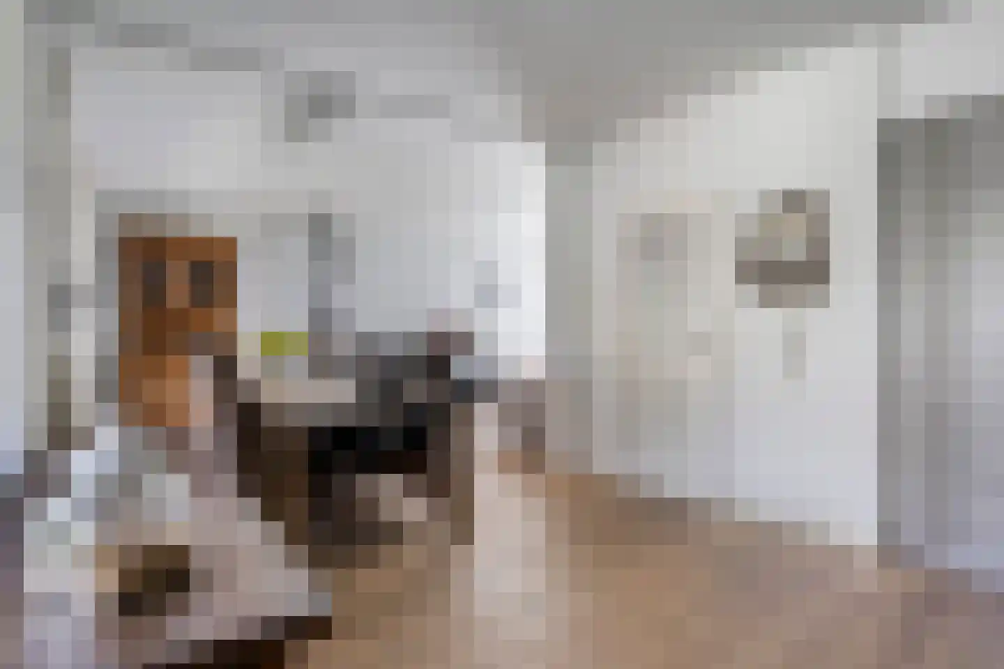 Maaszicht 22 Beegden thumbnail 12
