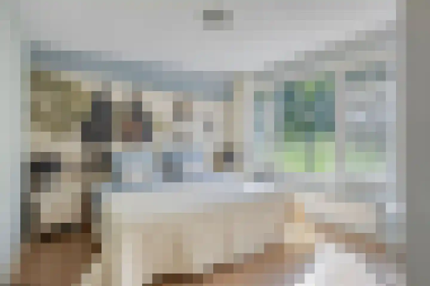 Maaszicht 22 Beegden thumbnail 19