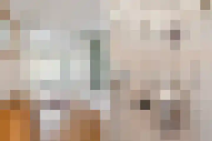 Maat 29 Eibergen thumbnail 10