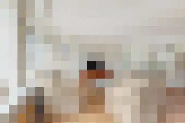 Maat 29 Eibergen thumbnail 13