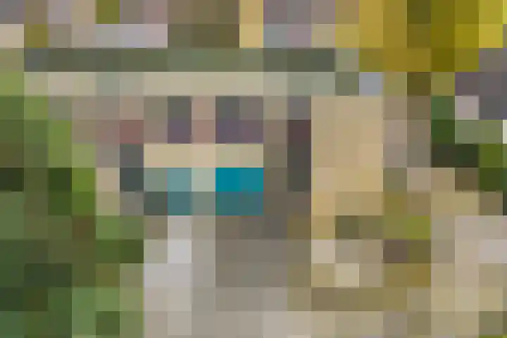 Maat 29 Eibergen thumbnail 32