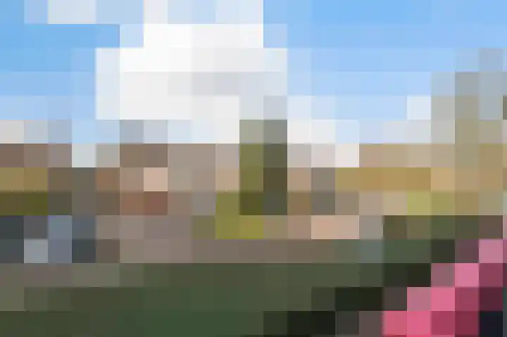 Maat 37 Eibergen thumbnail 22