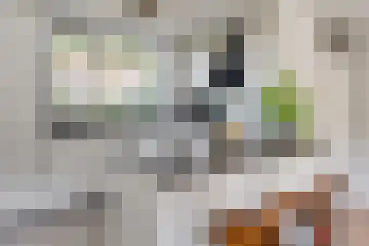 Maatcamp 3 Houten thumbnail 13