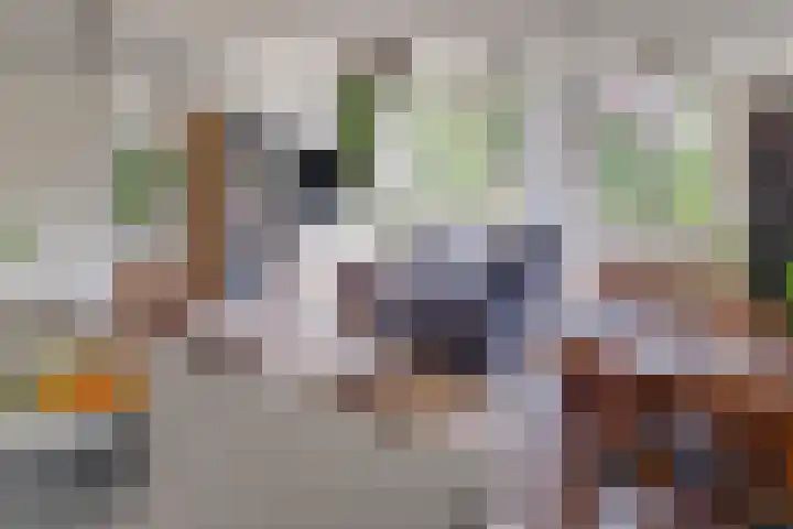 Maatcamp 3 Houten thumbnail 16