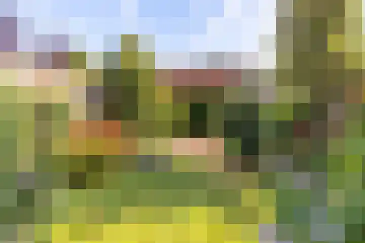 Maatcamp 3 Houten thumbnail 17