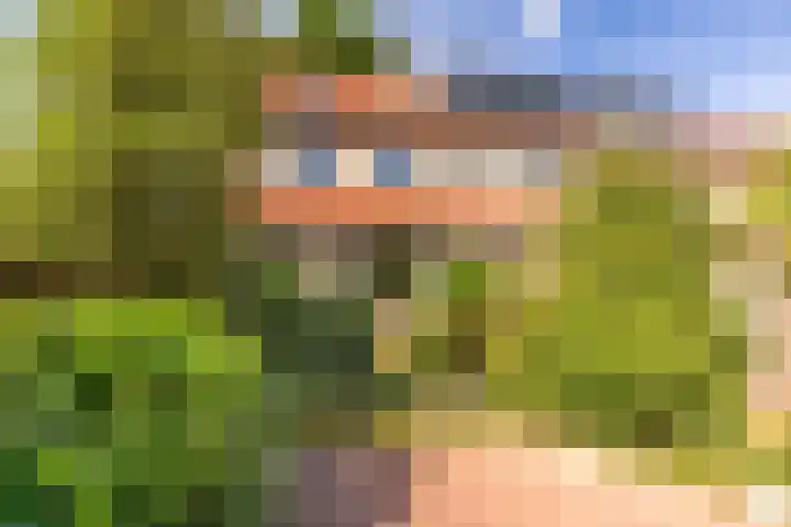 Maatcamp 3 Houten thumbnail 19
