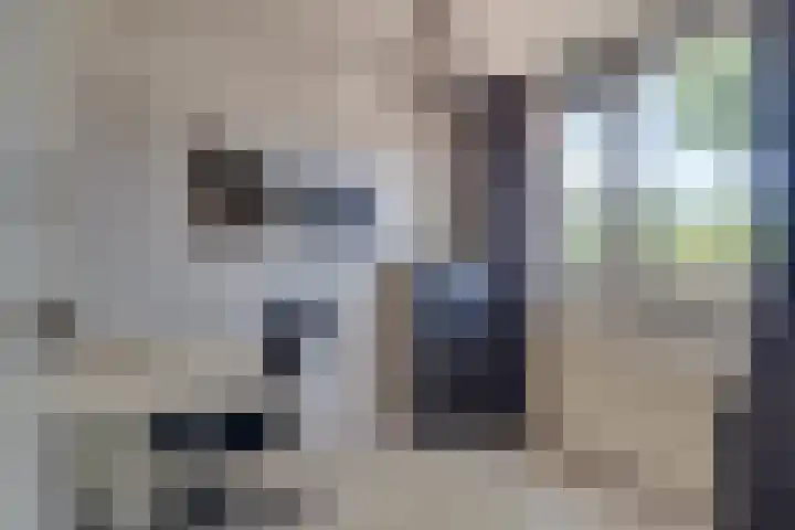 Maatcamp 3 Houten thumbnail 22