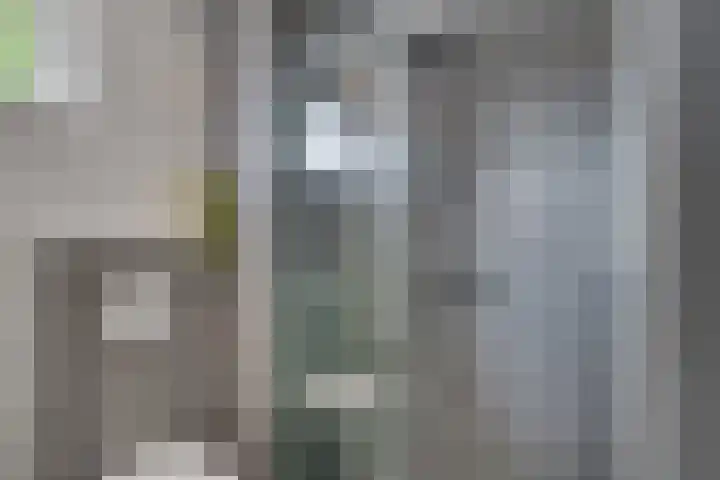 Maatcamp 3 Houten thumbnail 25