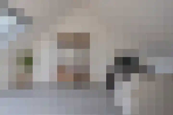 Maatcamp 3 Houten thumbnail 28