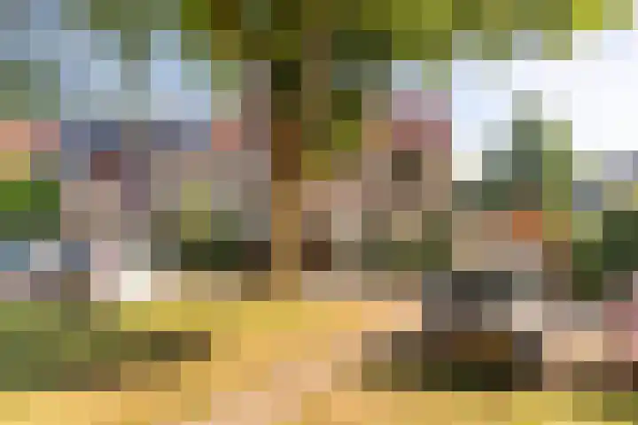 Maatcamp 3 Houten thumbnail 31