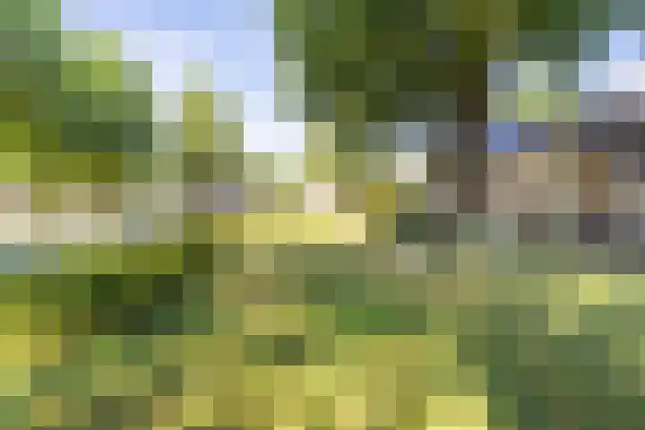 Maatcamp 3 Houten thumbnail 33