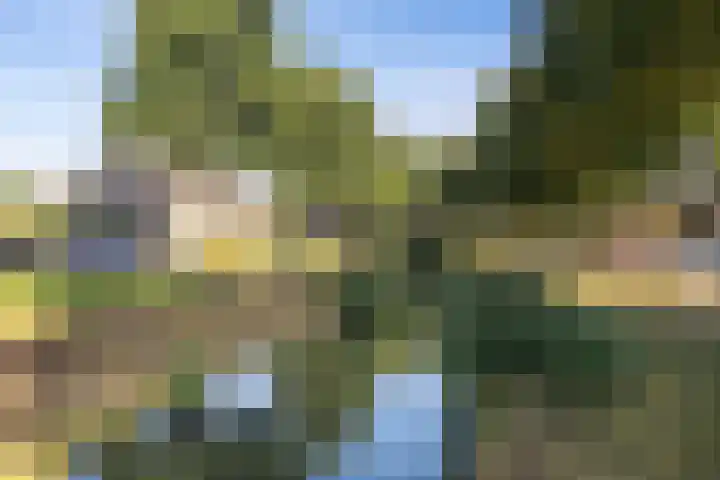 Maatcamp 3 Houten thumbnail 34