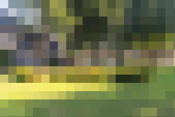 Maatcamp 3 Houten thumbnail 35