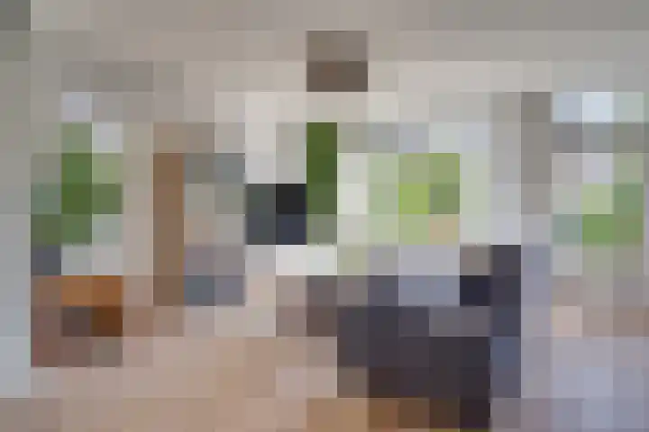 Maatcamp 3 Houten thumbnail 7