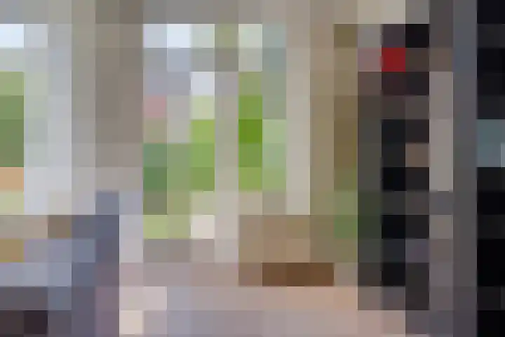 Maatcamp 3 Houten thumbnail 9