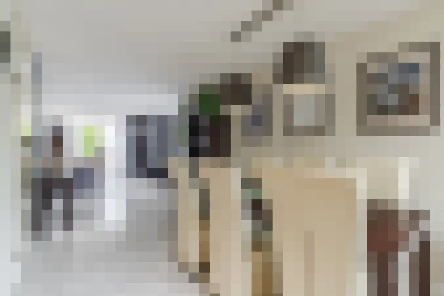 Maatgraaf 7 Hagestein thumbnail 14
