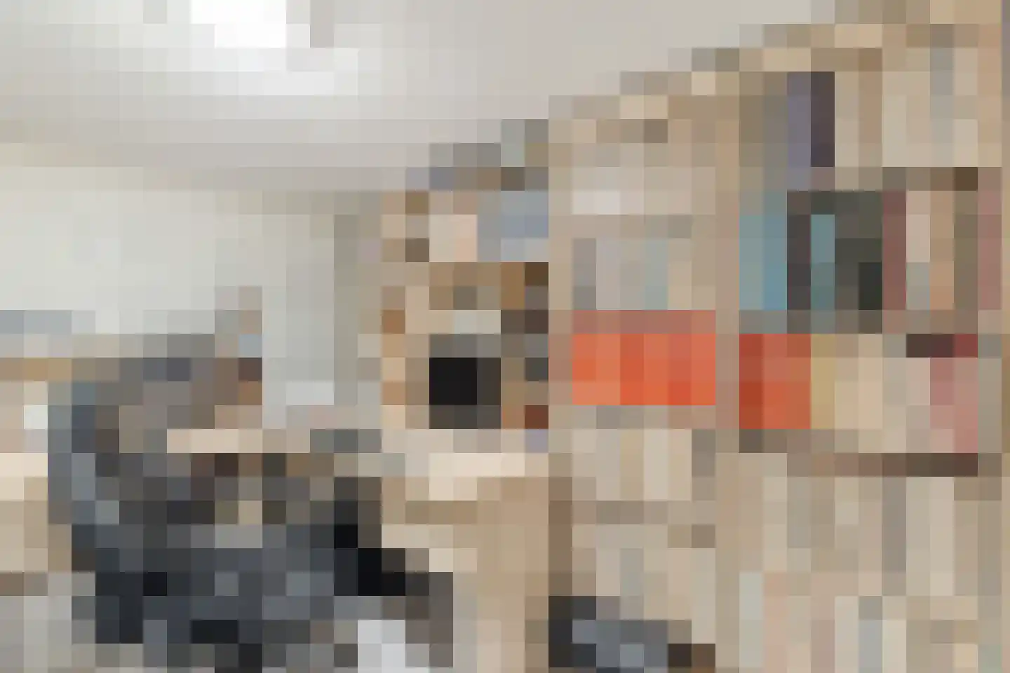 Maatgraaf 7 Hagestein thumbnail 21