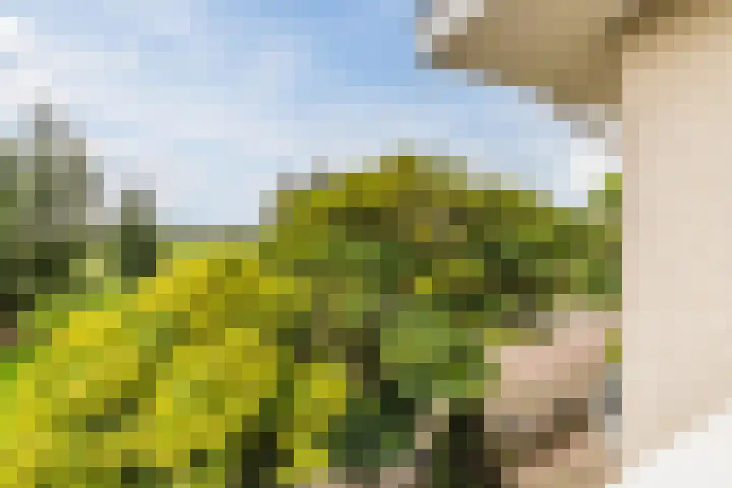 Maatgraaf 7 Hagestein thumbnail 50