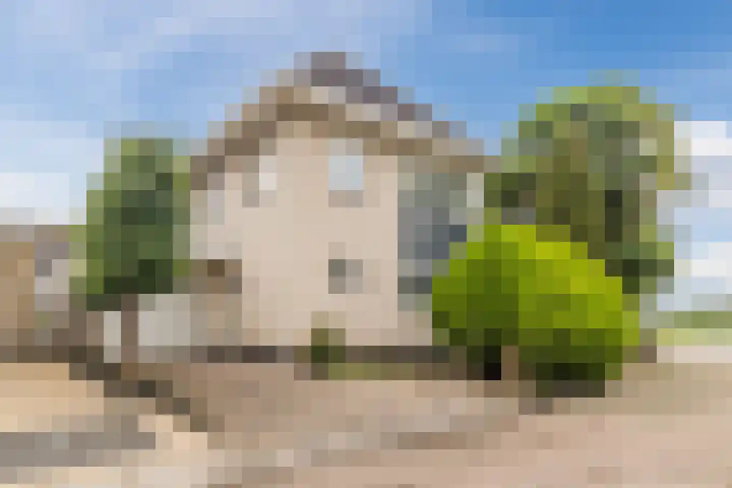 Maatgraaf 7 Hagestein thumbnail 55