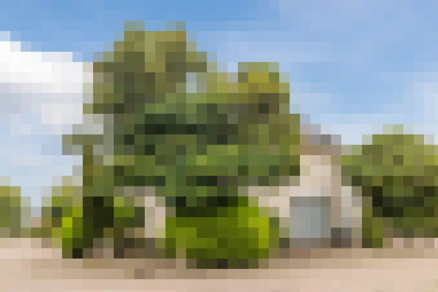 Maatgraaf 7 Hagestein thumbnail 57