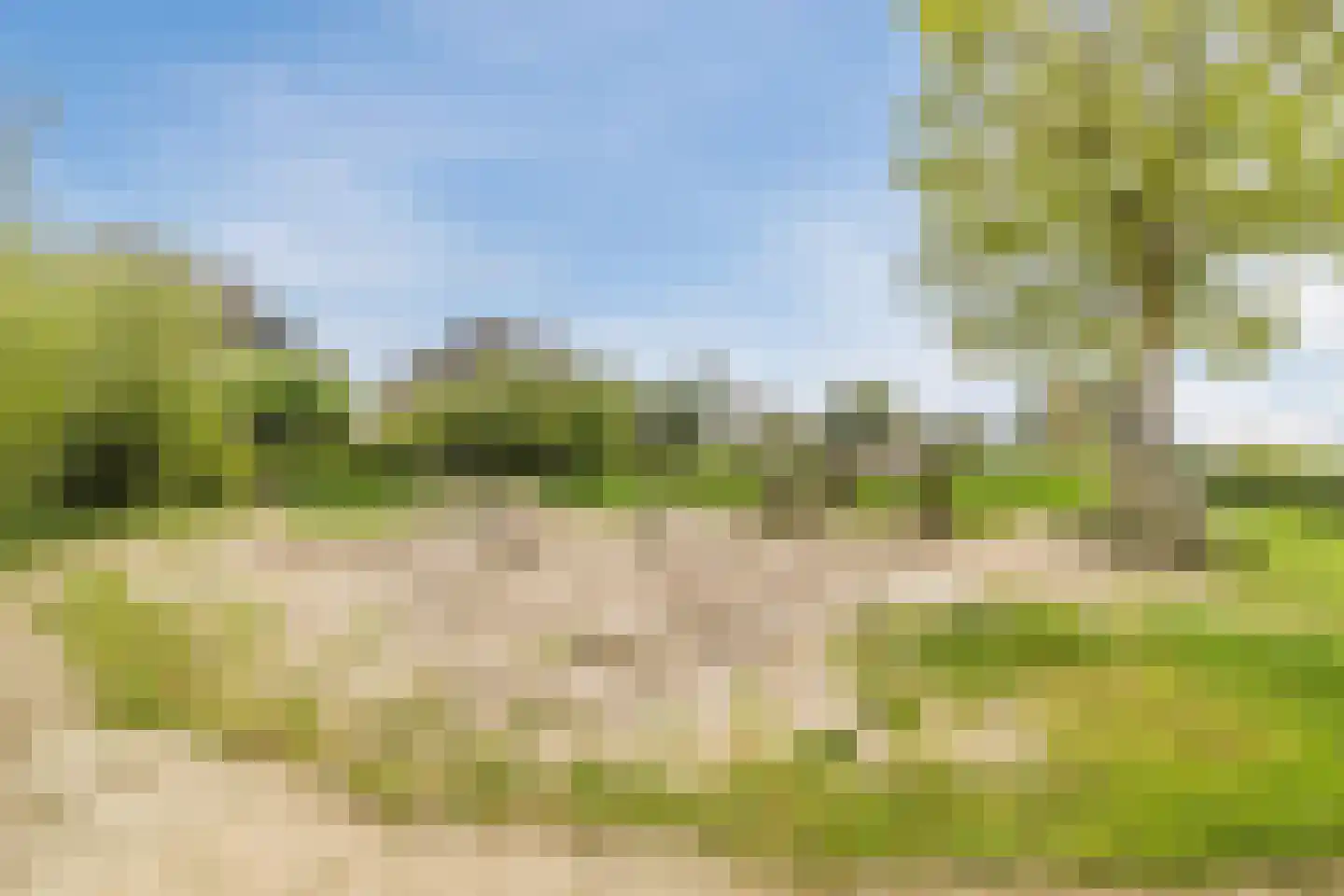 Maatgraaf 7 Hagestein thumbnail 60