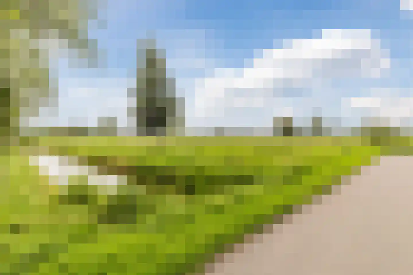 Maatgraaf 7 Hagestein thumbnail 61