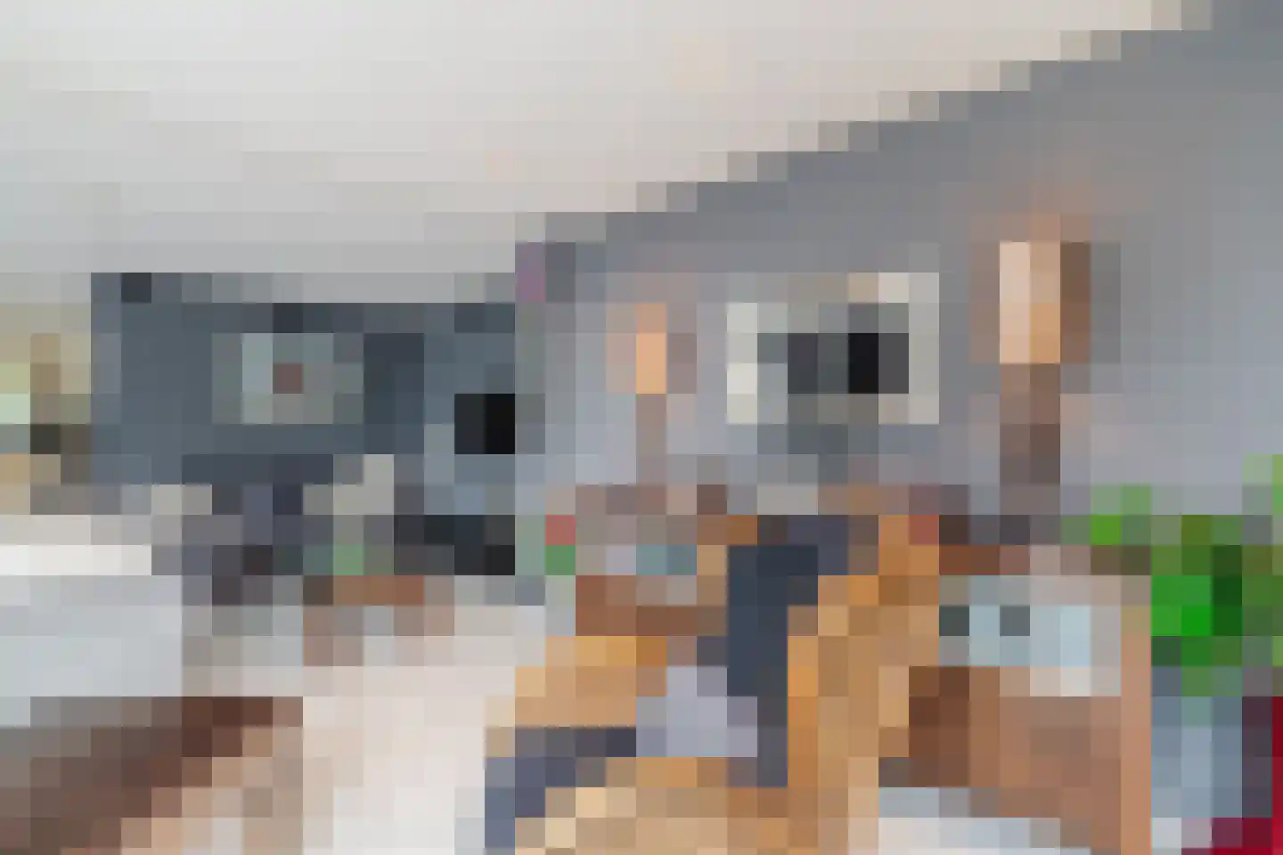 Maatgraaf 7 Hagestein thumbnail 7
