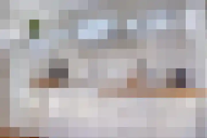 Maatkampstraat 43 Epe thumbnail 12