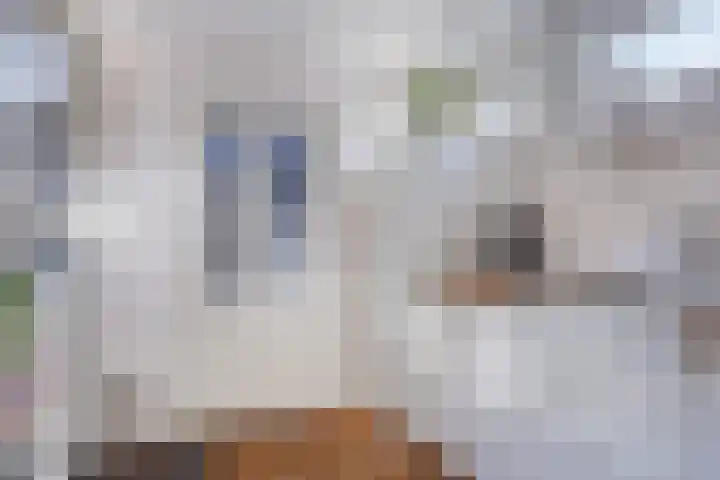 Maatkampstraat 43 Epe thumbnail 15