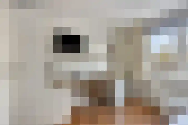 Maatkampstraat 43 Epe thumbnail 23