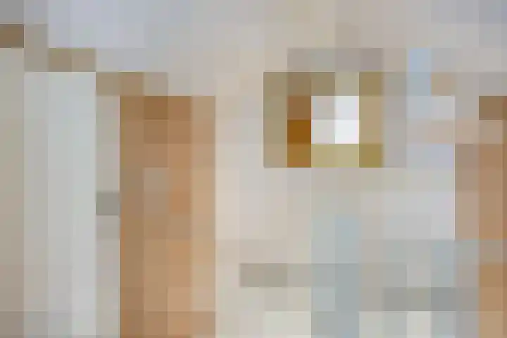 Maatkampstraat 43 Epe thumbnail 28