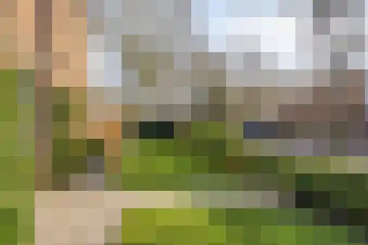 Maatkampstraat 43 Epe thumbnail 37