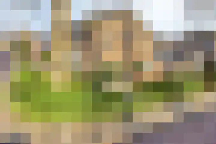Maatkampstraat 43 Epe thumbnail 39