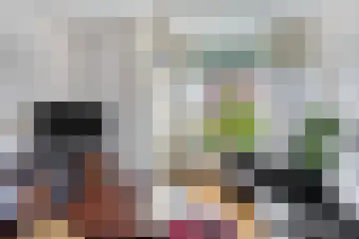 Maatkampstraat 43 Epe thumbnail 4