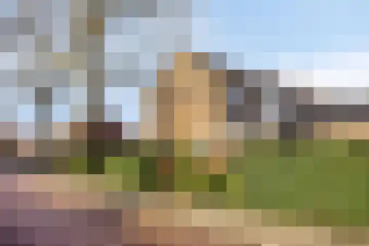 Maatkampstraat 43 Epe thumbnail 40