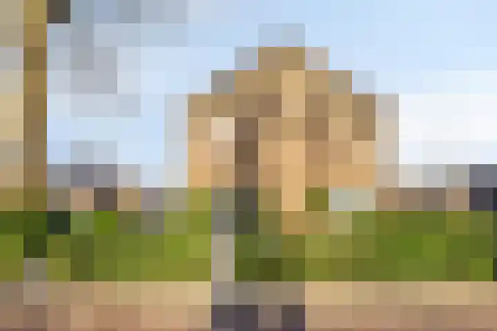 Maatkampstraat 43 Epe thumbnail 41