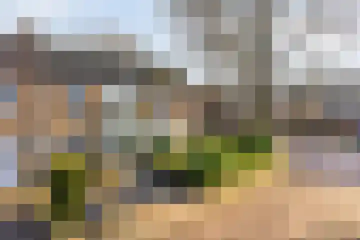 Maatkampstraat 43 Epe thumbnail 42