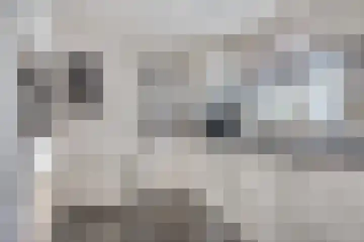 Maatkampstraat 43 Epe thumbnail 8