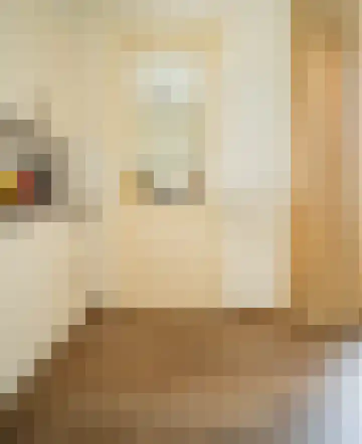 Maatschappijstraat 2 Helenaveen thumbnail 14
