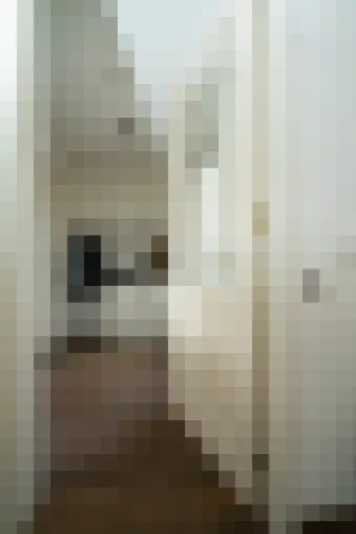 Maatschappijstraat 2 Helenaveen thumbnail 15