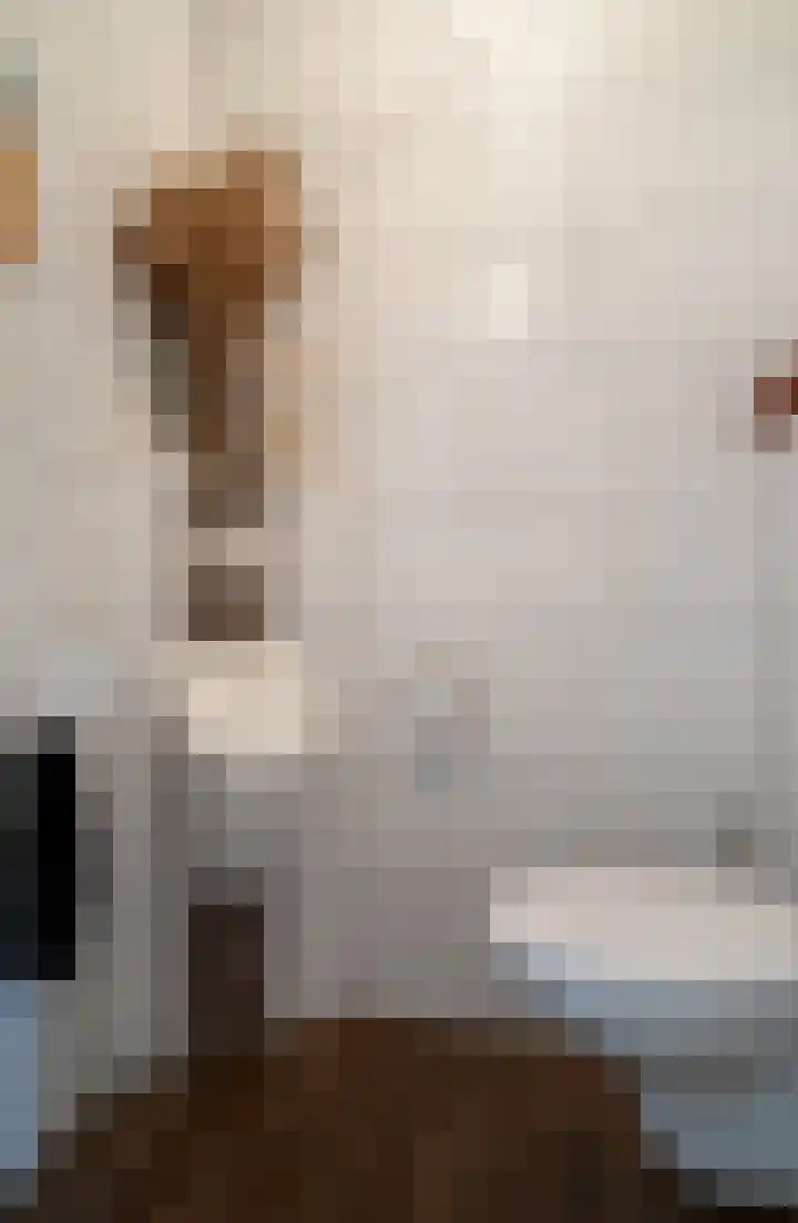 Maatschappijstraat 2 Helenaveen thumbnail 17