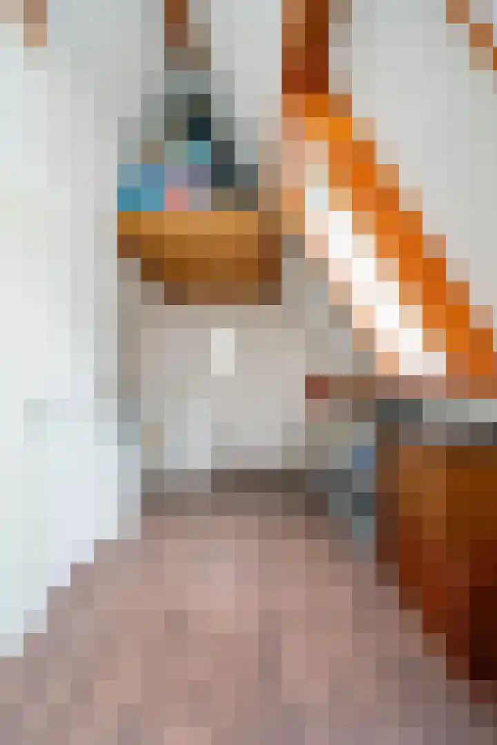 Maatschappijstraat 2 Helenaveen thumbnail 34