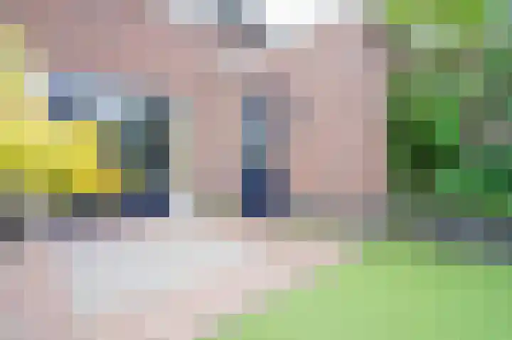 Maatschappijstraat 2 Helenaveen thumbnail 42