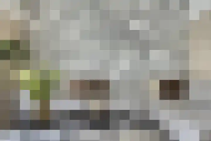 Maatschappijstraat 31 Helenaveen thumbnail 17