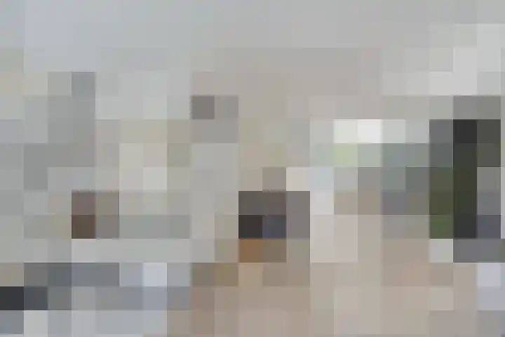 Maatschappijstraat 31 Helenaveen thumbnail 20