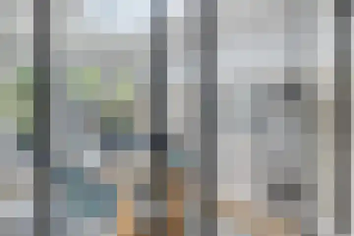 Maatschappijstraat 31 Helenaveen thumbnail 25
