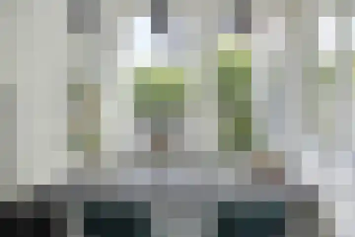 Maatschappijstraat 31 Helenaveen thumbnail 30