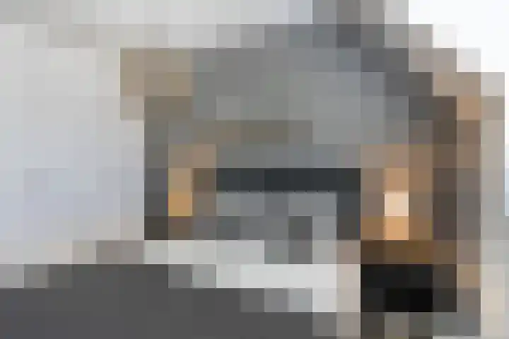 Maatschappijstraat 31 Helenaveen thumbnail 40