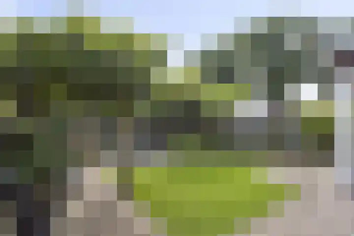 Maatschappijstraat 31 Helenaveen thumbnail 49
